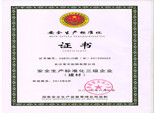 安全生產(chǎn)標準化三級企業(yè)